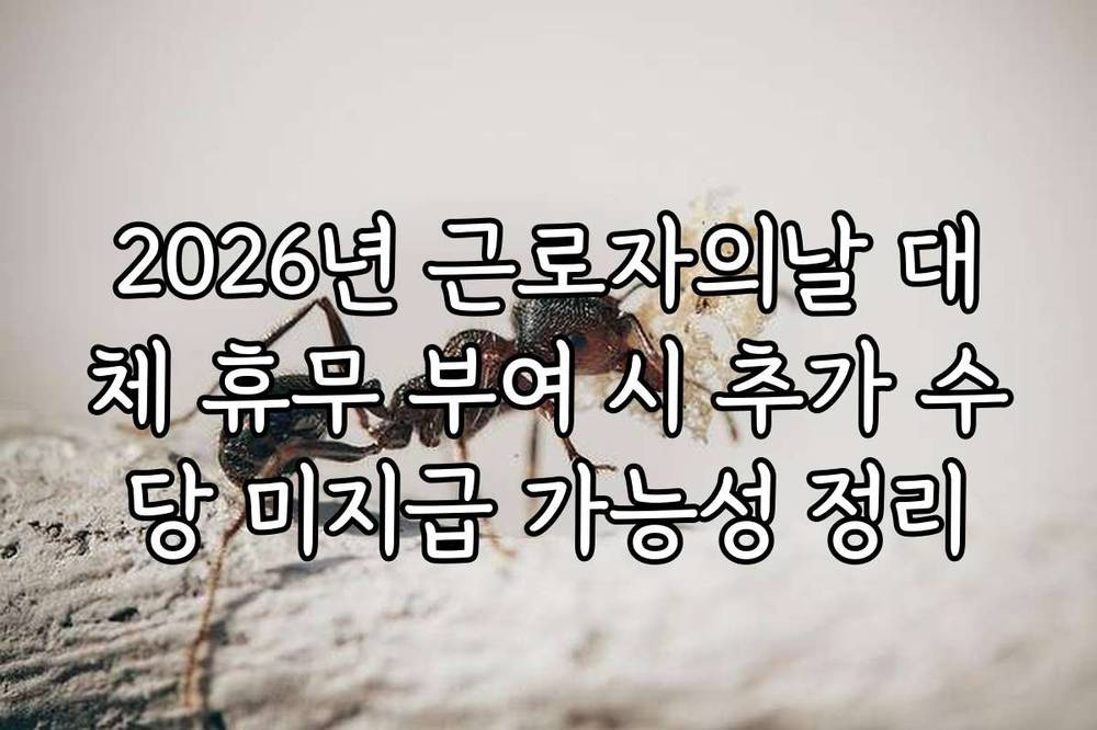 2026년 근로자의날 대체 휴무 부여 시 추가 수당 미지급 가능성 정리
