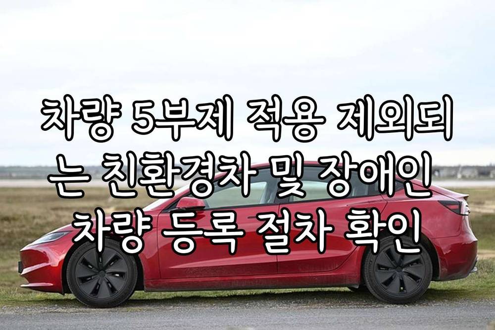 차량 5부제 적용 제외되는 친환경차 및 장애인 차량 등록 절차 확인