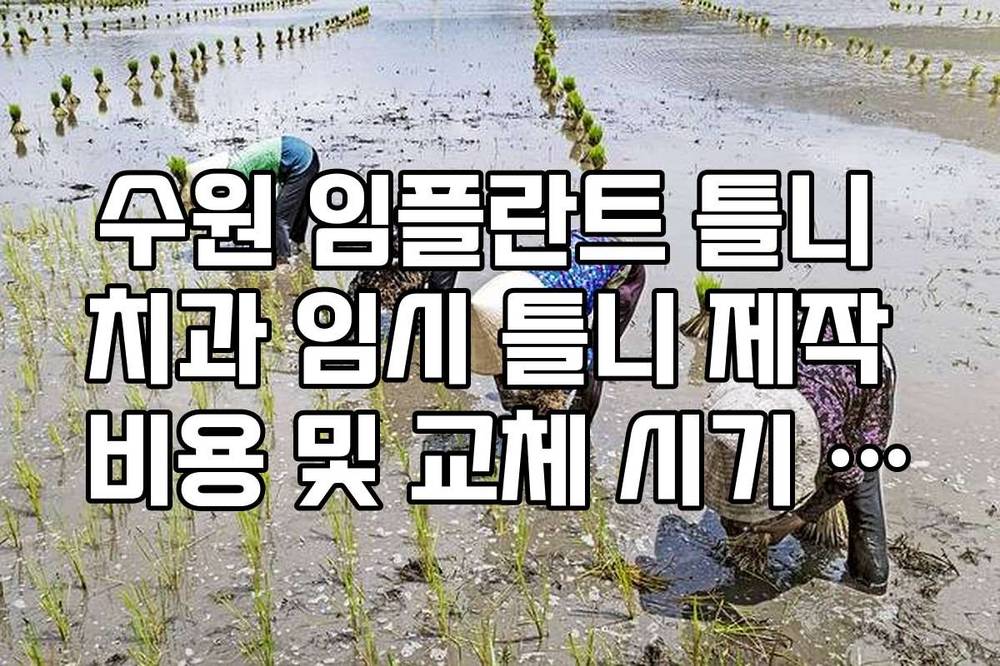 수원 임플란트 틀니 치과 임시 틀니 제작 비용 및 교체 시기 가이드