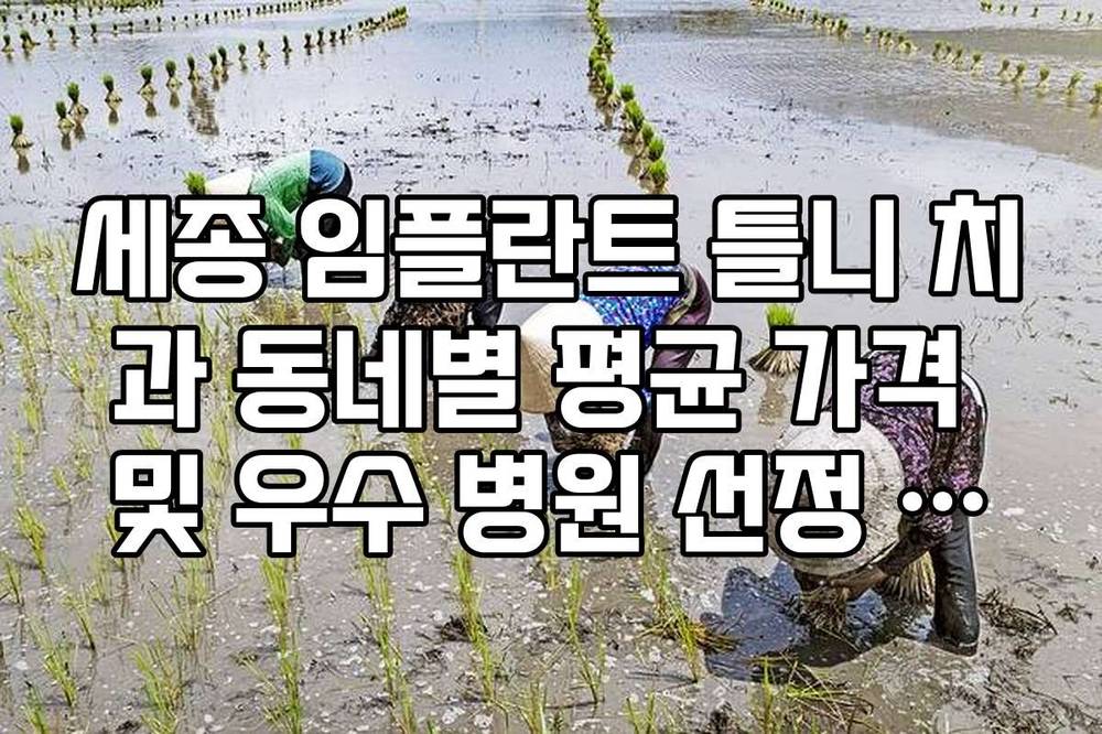 세종 임플란트 틀니 치과 동네별 평균 가격 및 우수 병원 선정 기준