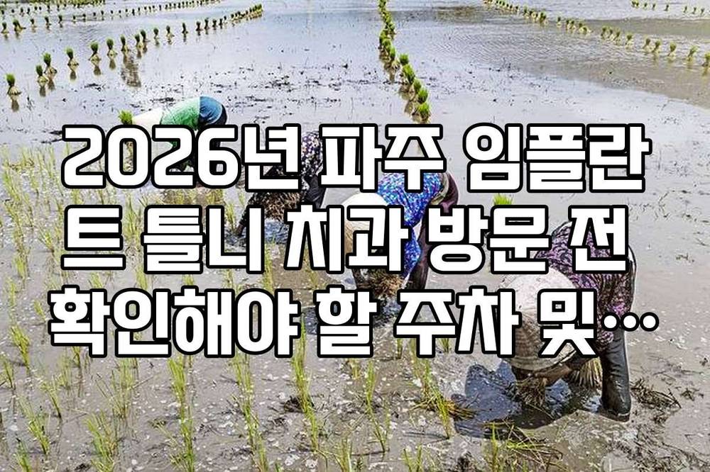 2026년 파주 임플란트 틀니 치과 방문 전 확인해야 할 주차 및 접근성 정보