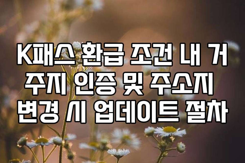 K패스 환급 조건 내 거주지 인증 및 주소지 변경 시 업데이트 절차