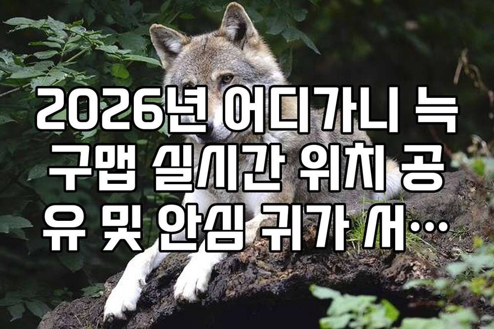 2026년 어디가니 늑구맵 실시간 위치 공유 및 안심 귀가 서비스 활용법