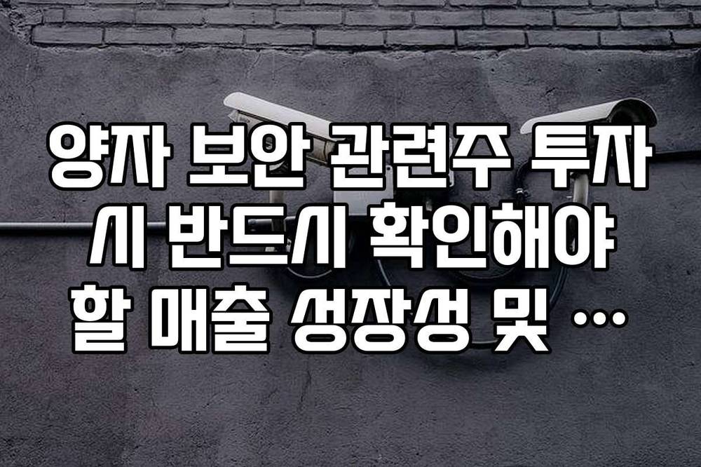 양자 보안 관련주 투자 시 반드시 확인해야 할 매출 성장성 및 순이익