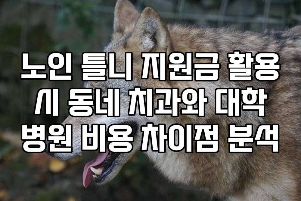 노인 틀니 지원금 활용 시 동네 치과와 대학 병원 비용 차이점 분석