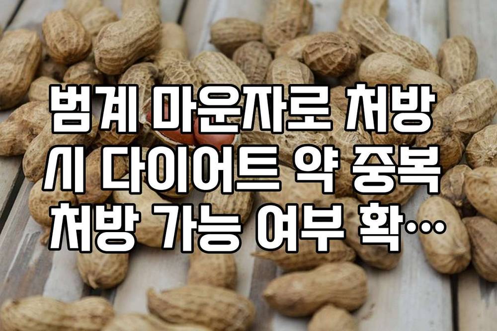 범계 마운자로 처방 시 다이어트 약 중복 처방 가능 여부 확인법