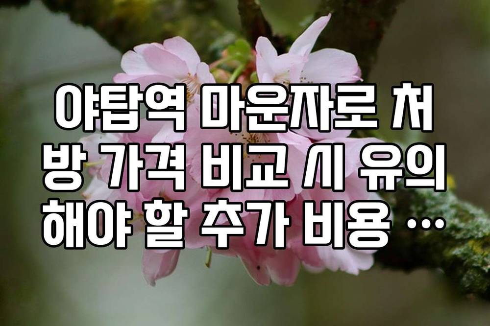 야탑역 마운자로 처방 가격 비교 시 유의해야 할 추가 비용 항목