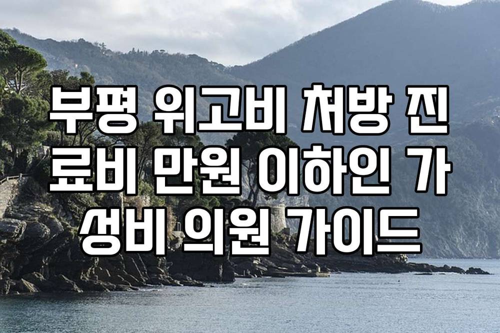 부평 위고비 처방 진료비 만원 이하인 가성비 의원 가이드