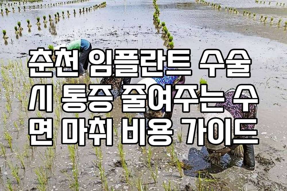 춘천 임플란트 수술 시 통증 줄여주는 수면 마취 비용 가이드