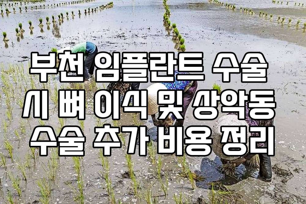 부천 임플란트 수술 시 뼈 이식 및 상악동 수술 추가 비용 정리
