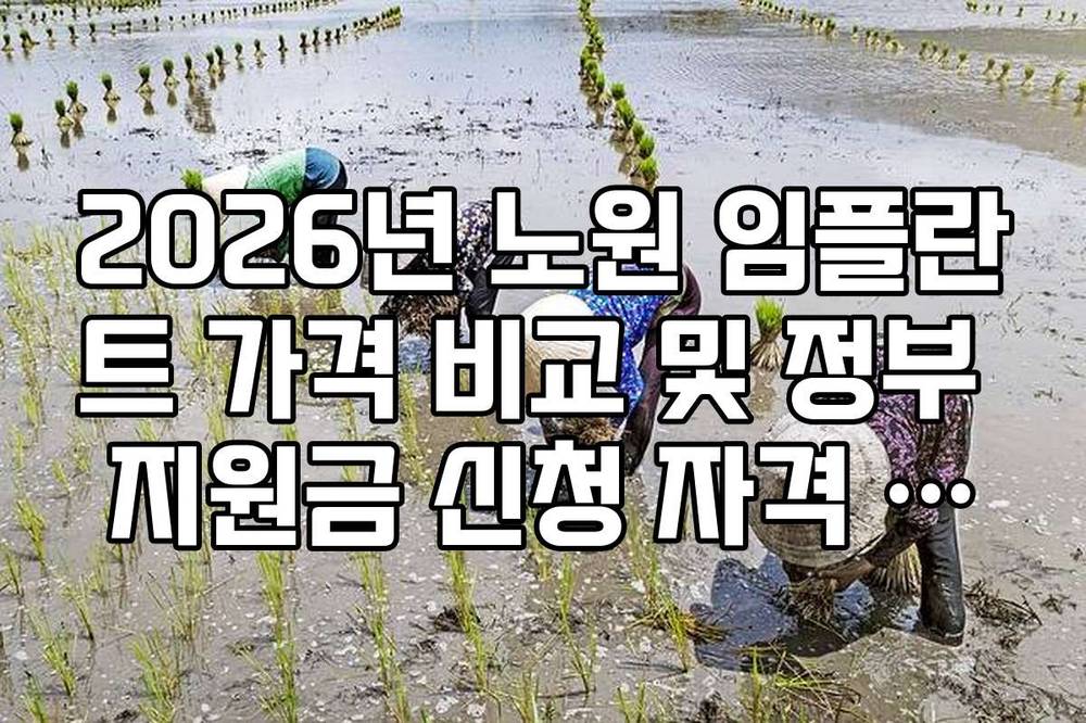 2026년 노원 임플란트 가격 비교 및 정부 지원금 신청 자격 가이드