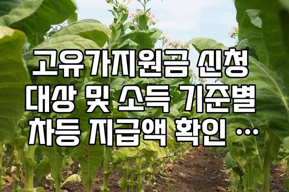 고유가지원금 신청 대상 및 소득 기준별 차등 지급액 확인 방법
