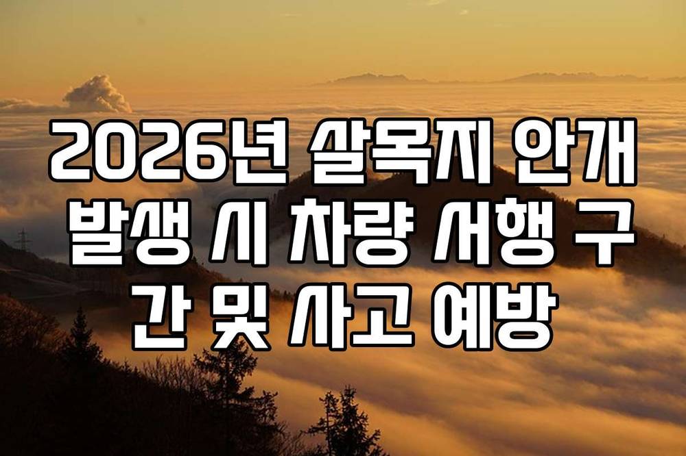2026년 살목지 안개 발생 시 차량 서행 구간 및 사고 예방