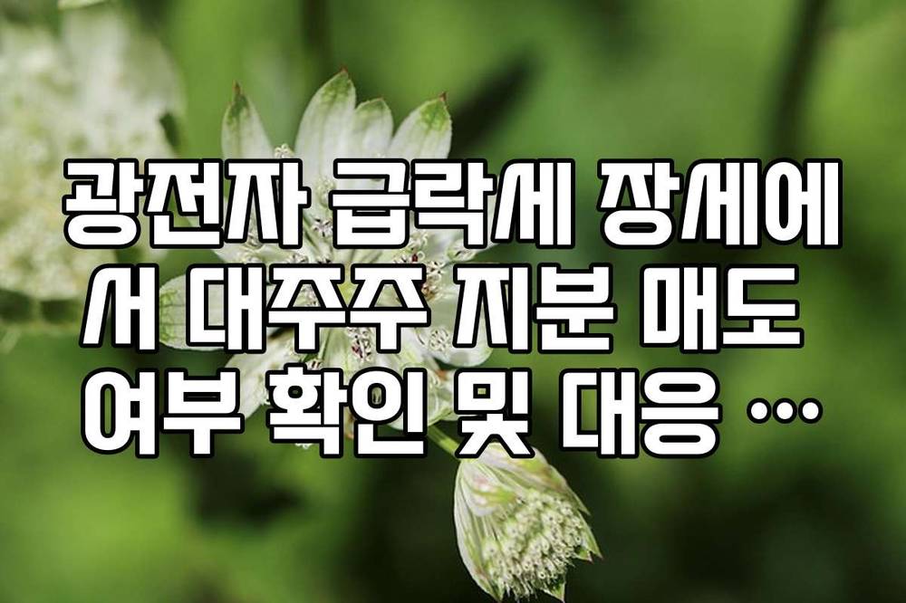 광전자 급락세 장세에서 대주주 지분 매도 여부 확인 및 대응 가이드
