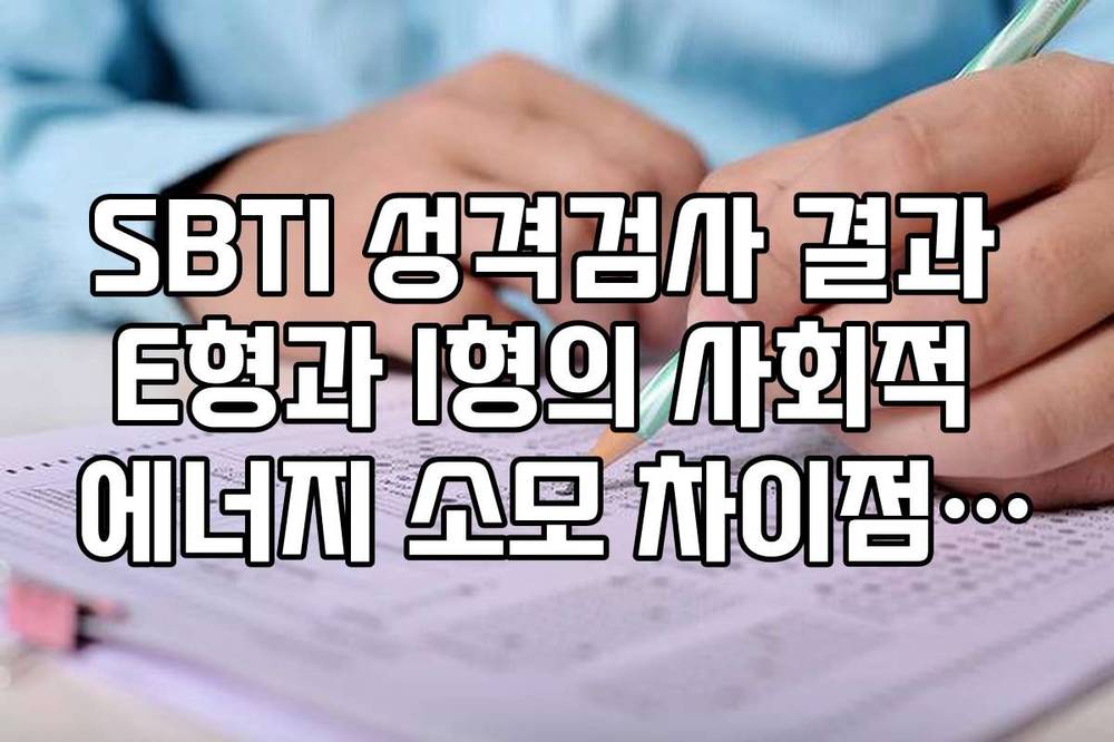 SBTI 성격검사 결과 E형과 I형의 사회적 에너지 소모 차이점 분석