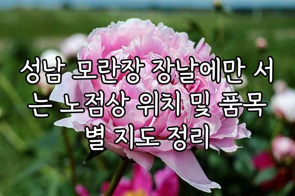 성남 모란장 장날에만 서는 노점상 위치 및 품목별 지도 정리