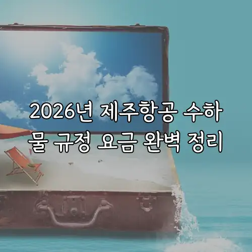 2026년 제주항공 수하물 규정 요금 완벽 정리