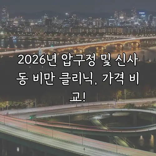 2026년 압구정 및 신사동 비만 클리닉, 가격 비교!