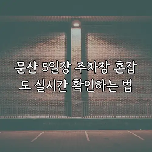 문산 5일장 주차장 혼잡도 실시간 확인하는 법