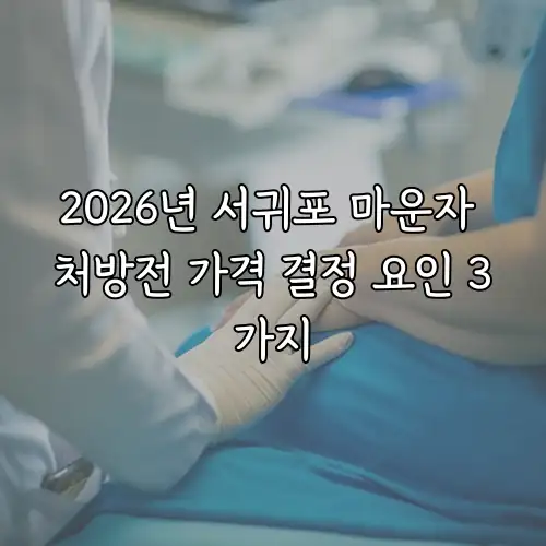 2026년 서귀포 마운자 처방전 가격 결정 요인 3가지
