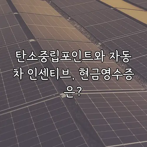 탄소중립포인트와 자동차 인센티브, 현금영수증은?
