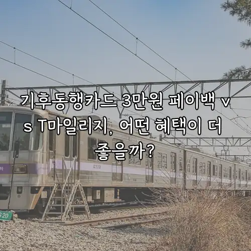 기후동행카드 3만원 페이백 vs T마일리지, 어떤 혜택이 더 좋을까?