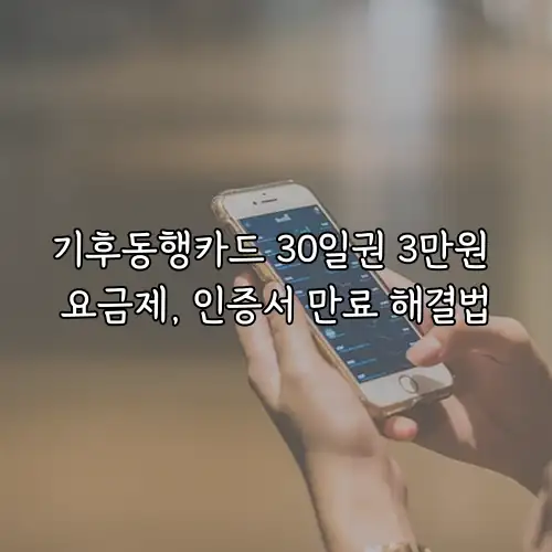 기후동행카드 30일권 3만원 요금제, 인증서 만료 해결법