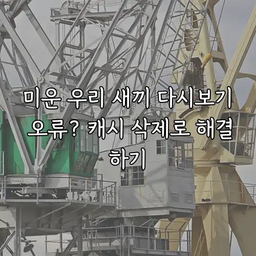 미운 우리 새끼 다시보기 오류? 캐시 삭제로 해결하기