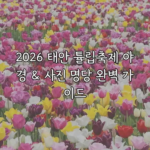 2026 태안 튤립축제 야경 & 사진 명당 완벽 가이드
