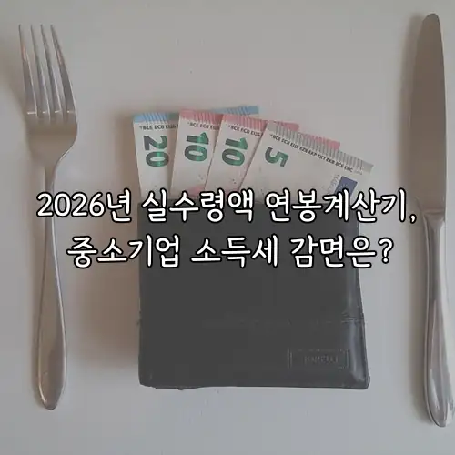 2026년 실수령액 연봉계산기, 중소기업 소득세 감면은?
