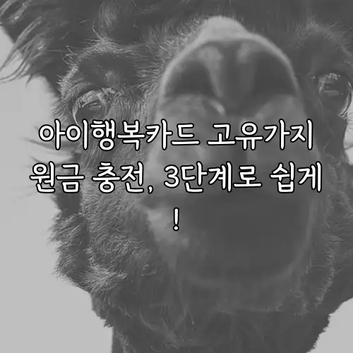 아이행복카드 고유가지원금 충전, 3단계로 쉽게!