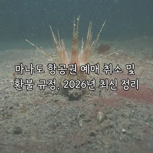 마나도 항공권 예매 취소 및 환불 규정, 2026년 최신 정리