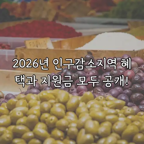 2026년 인구감소지역 혜택과 지원금 모두 공개!