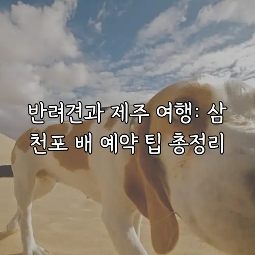 반려견과 제주 여행: 삼천포 배 예약 팁 총정리