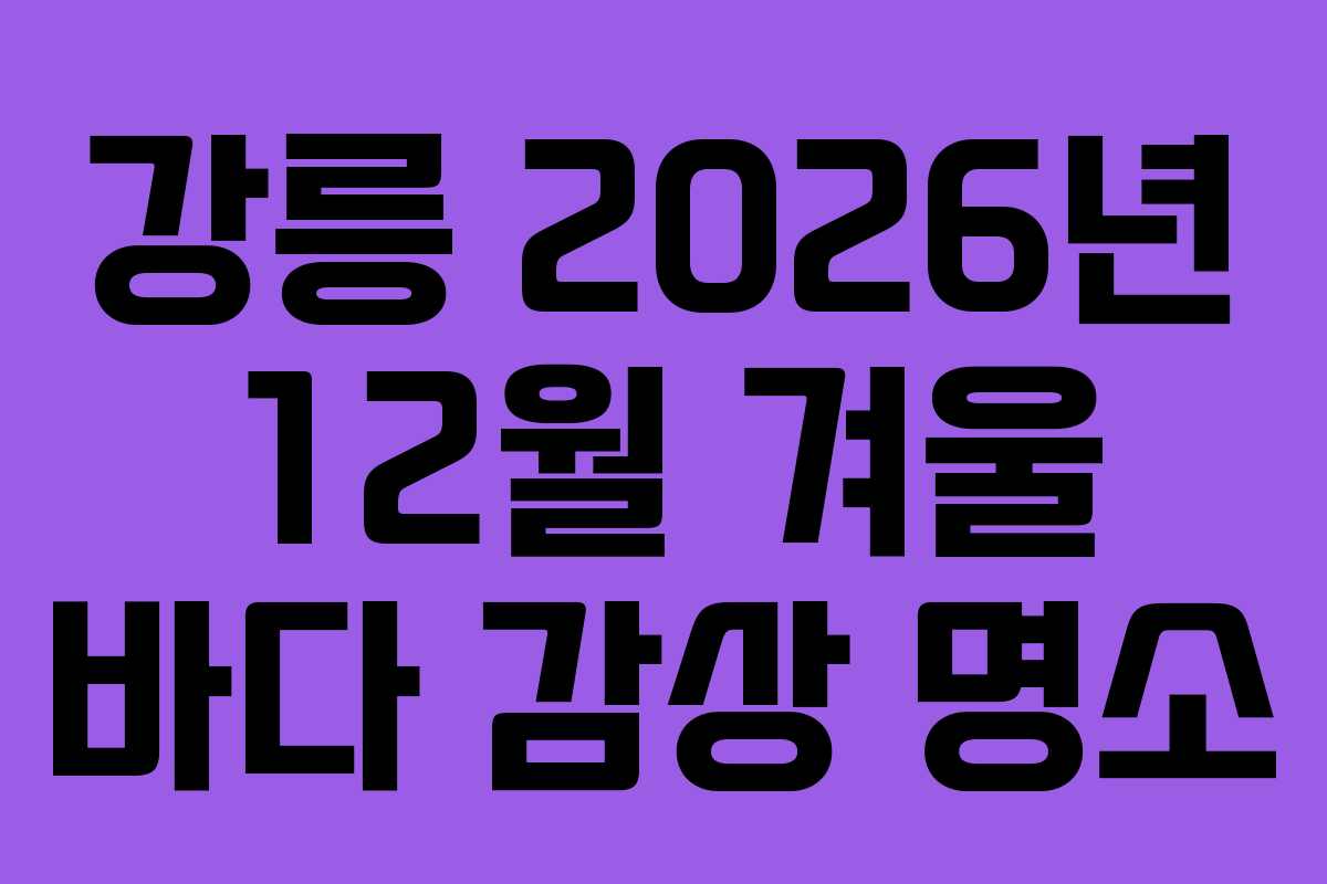강릉-2026년-12월-겨울-바다-감상-명소