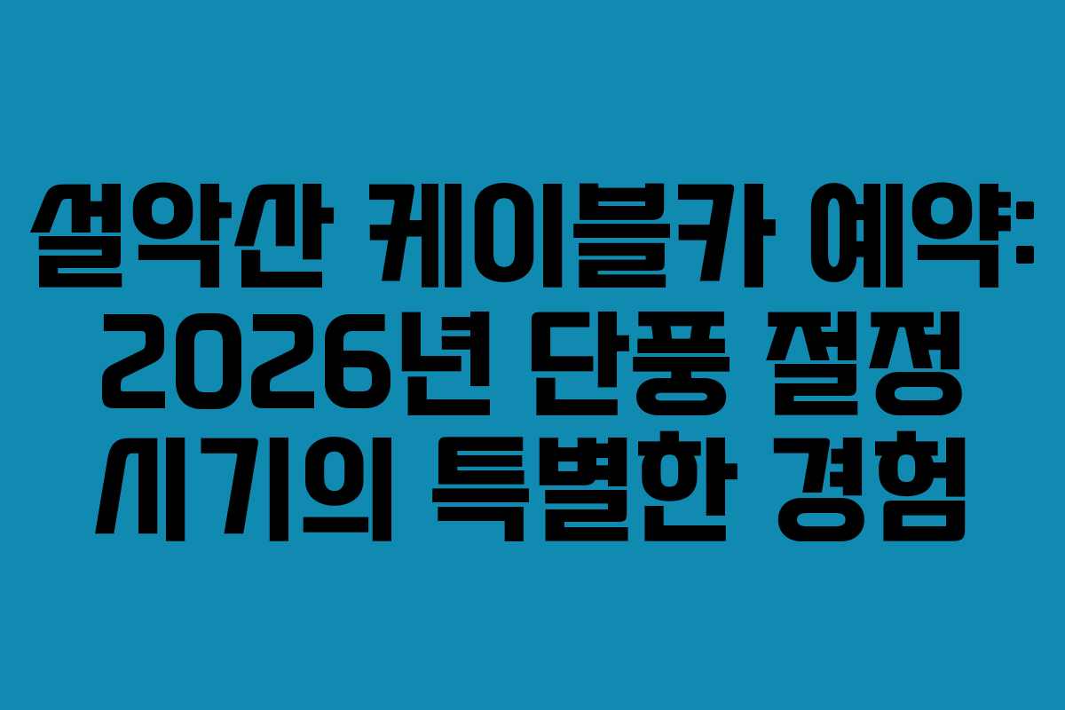 설악산-케이블카-예약-2026년-단풍-절정-시기의-특별한-경험