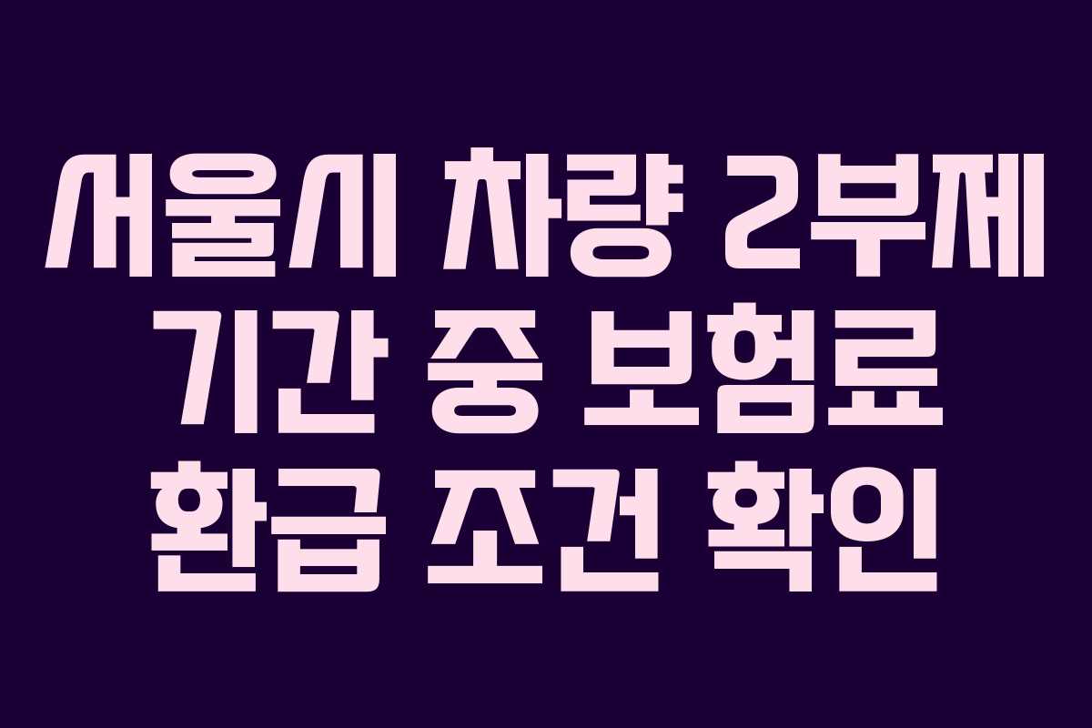 서울시-차량-2부제-기간-중-보험료-환급-조건-확인