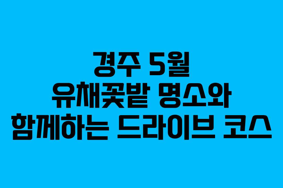 경주-5월-유채꽃밭-명소와-함께하는-드라이브-코스
