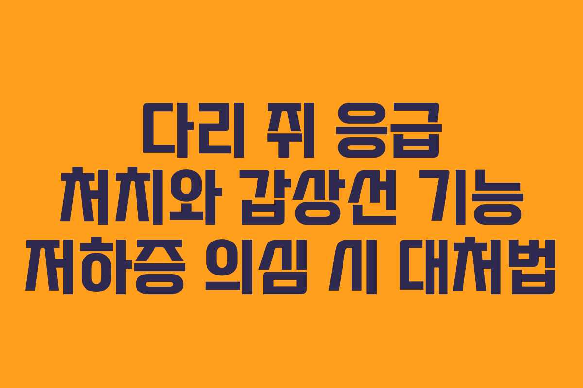 다리-쥐-응급-처치와-갑상선-기능-저하증-의심-시-대처법