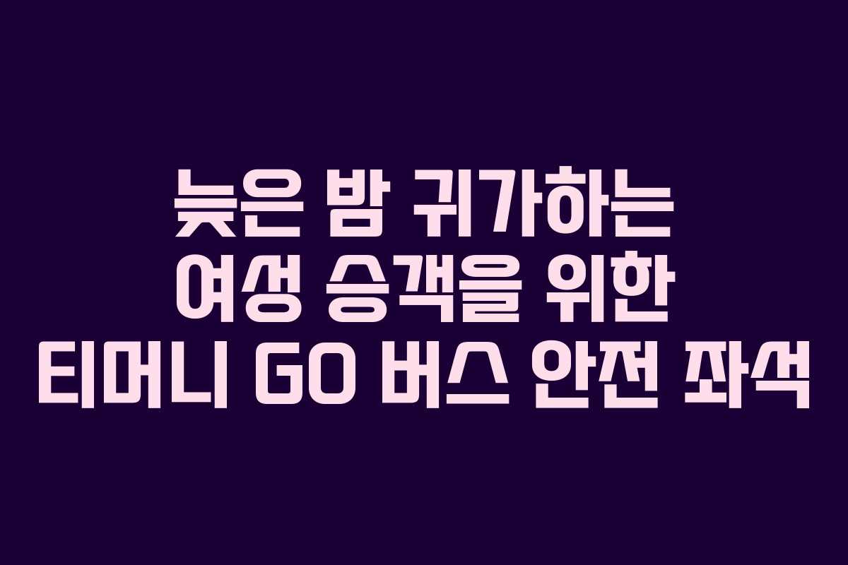 늦은-밤-귀가하는-여성-승객을-위한-티머니-GO-버스-안전-좌석