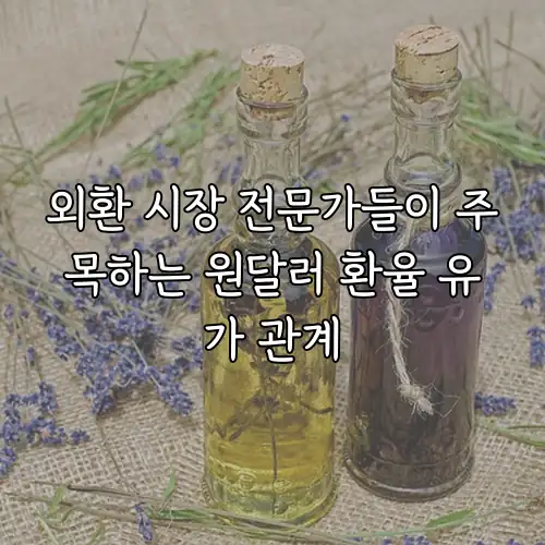 외환 시장 전문가들이 주목하는 원달러 환율 유가 관계