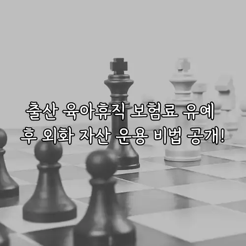 출산 육아휴직 보험료 유예 후 외화 자산 운용 비법 공개!