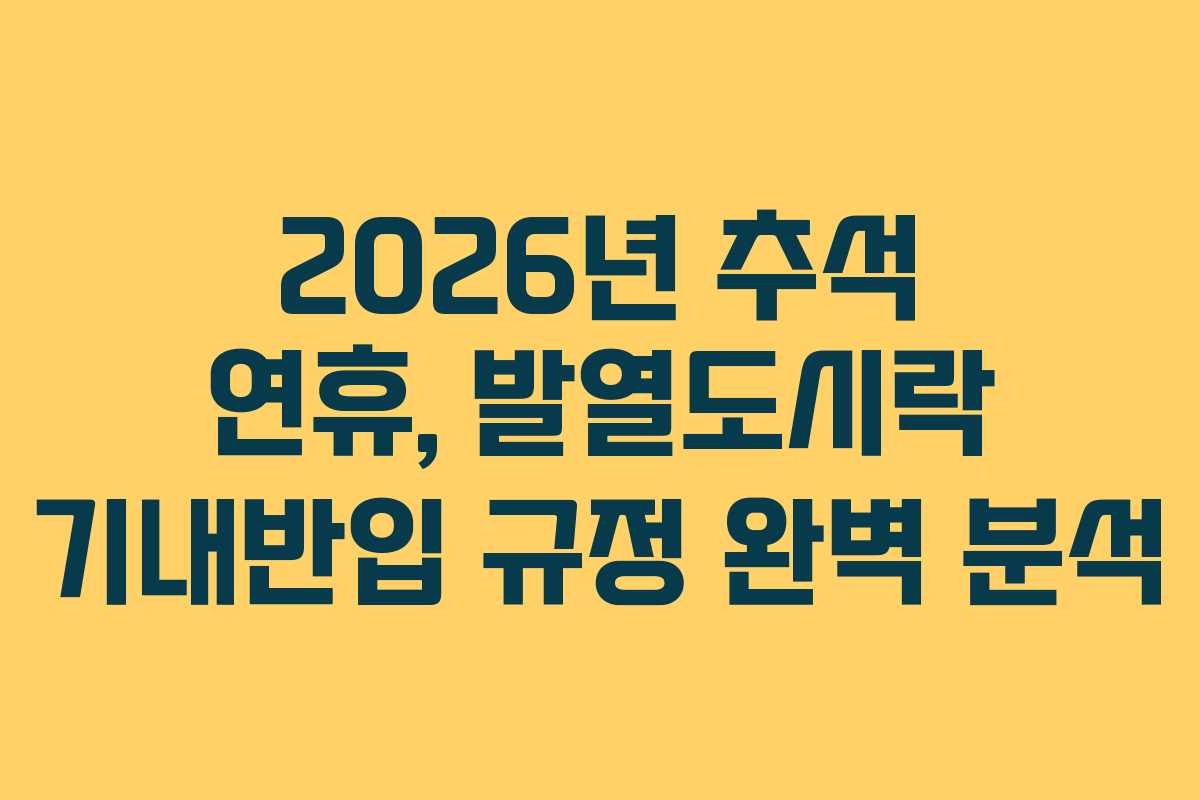 2026년-추석-연휴,-발열도시락-기내반입-규정-완벽-분석