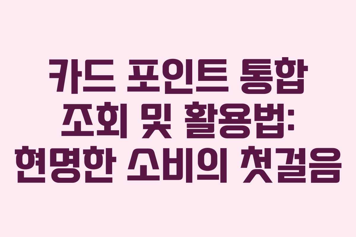카드-포인트-통합-조회-및-활용법-현명한-소비의-첫걸음