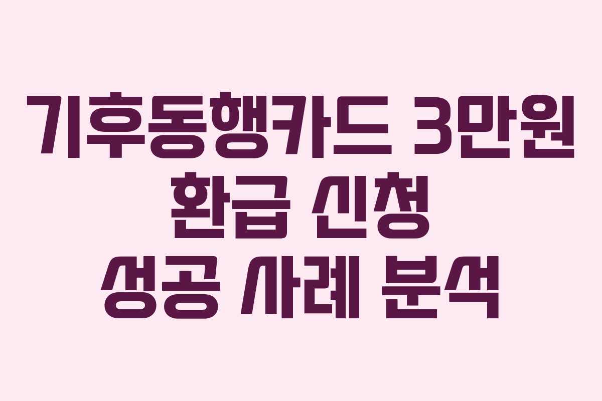기후동행카드-3만원-환급-신청-성공-사례-분석