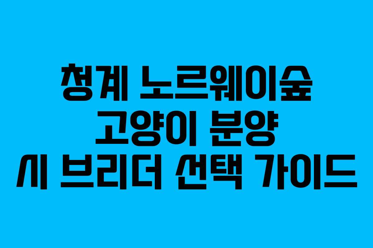 청계-노르웨이숲-고양이-분양-시-브리더-선택-가이드
