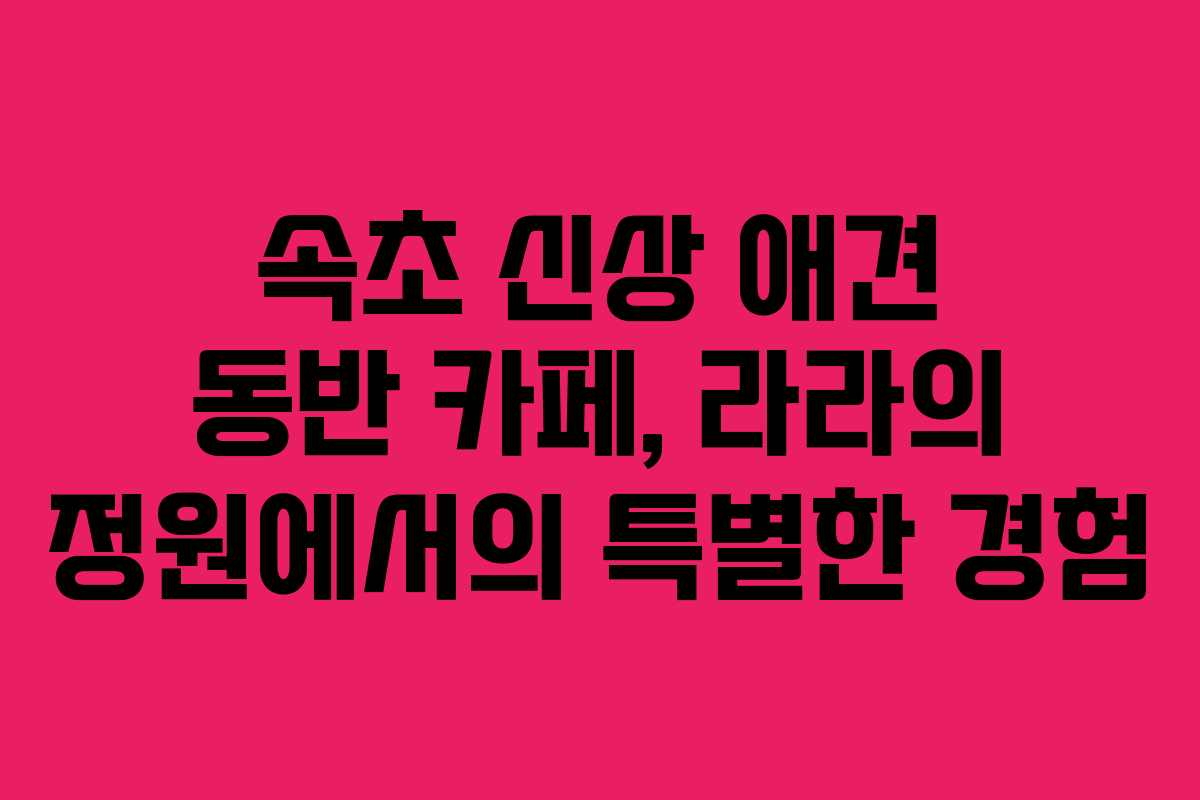 속초-신상-애견-동반-카페,-라라의-정원에서의-특별한-경험